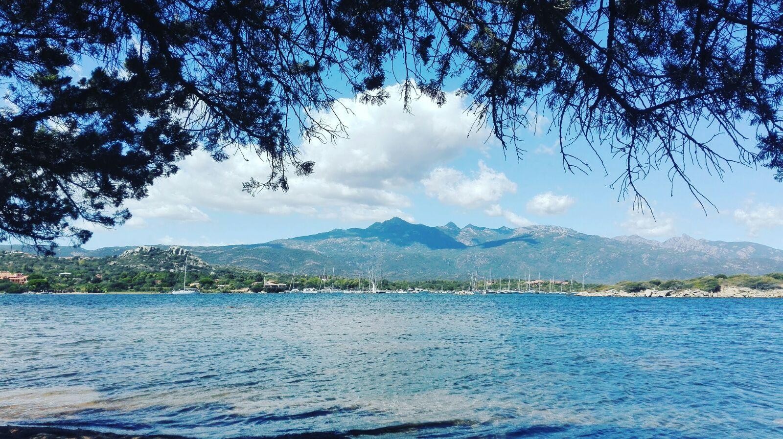 Figari