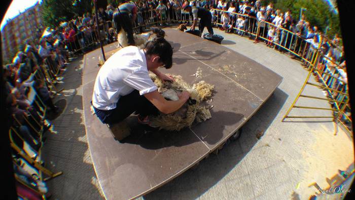 Eguraldia lagun, arrakastats 5 1505716612269