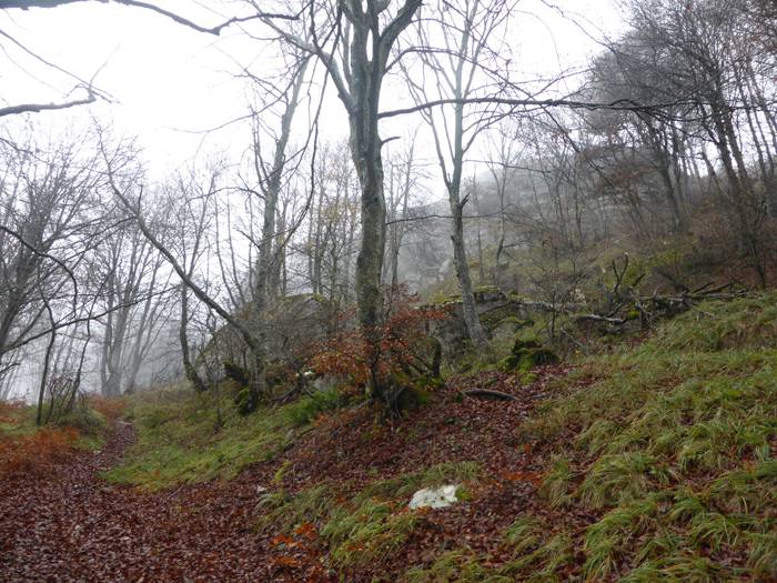 Laino artetik Santa Elena me 30 1511892658986