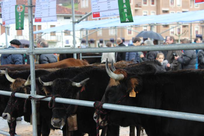 Eguraldi petrala izan arren, 1 1513616421990