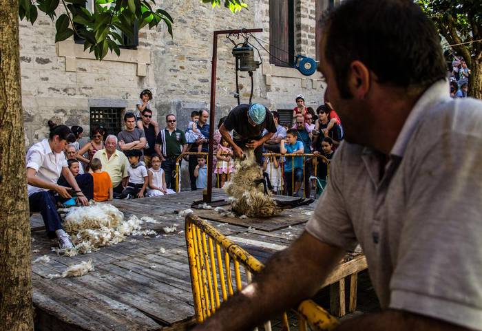 Irailaren 18an izango da Artzain Eguna