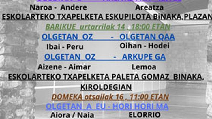 Eskolarteko pilota txapelketa