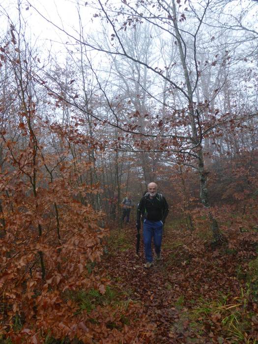 Laino artetik Santa Elena me 10 1511892515824