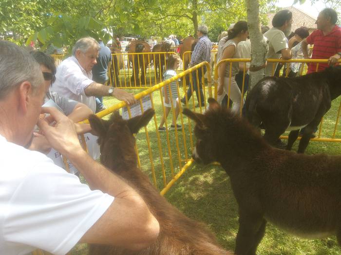 San Isidro Azokak jende ugar 53 1494852910632