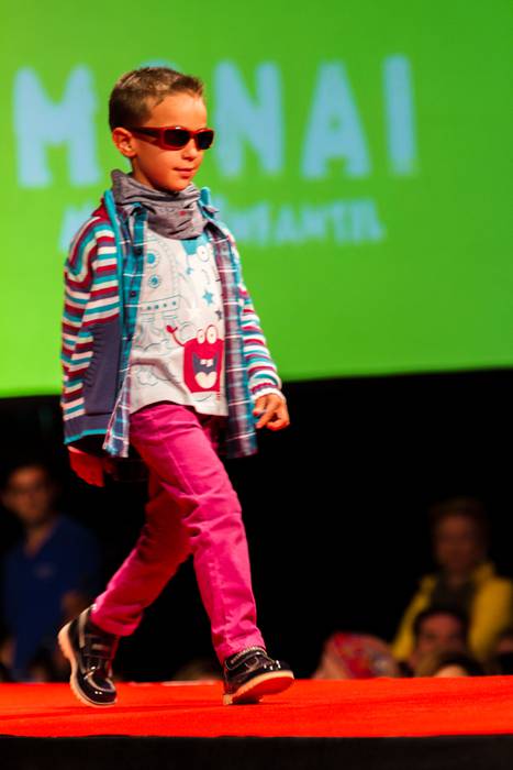 Laudioarrak izan ziren model 14 1508741565352