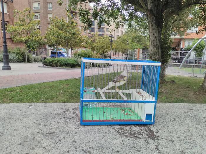 Sari ugari banatu dituzte Tx 9 1497291323477