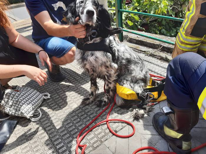 Txakurra erreskatatu zuten atzo suhiltzaileek Nerbioi ibaian
