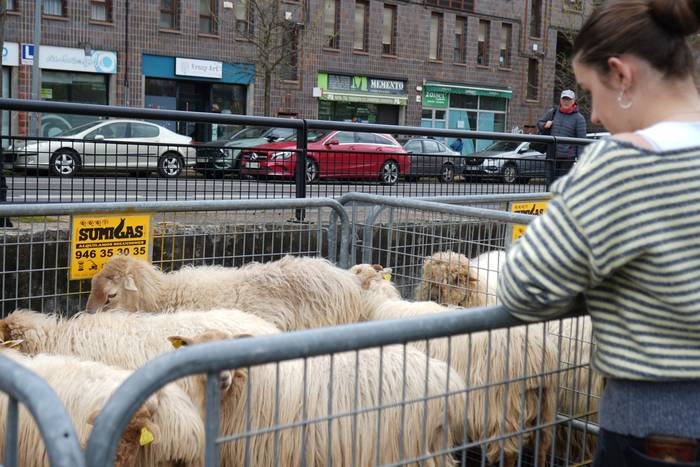 Euriak ez du zapuztu Dolumin 23 1774623127082