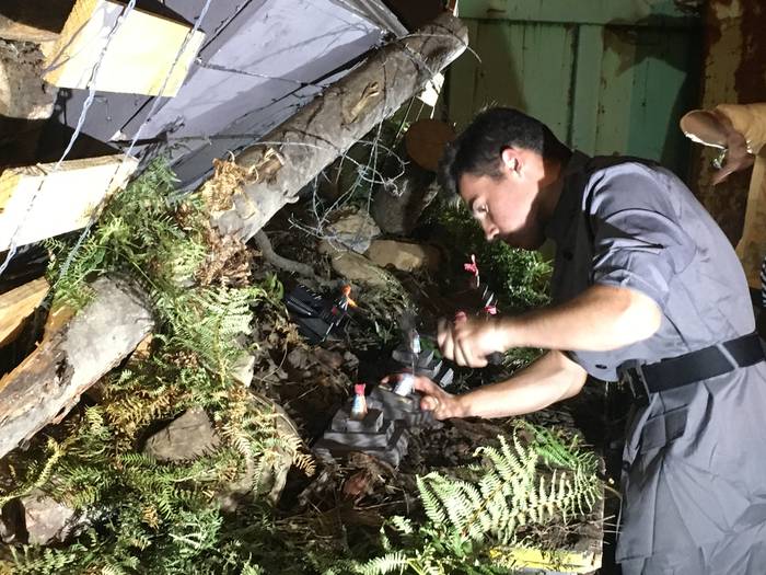 Umorea eta jai giroa nagusi  7 1502925175611