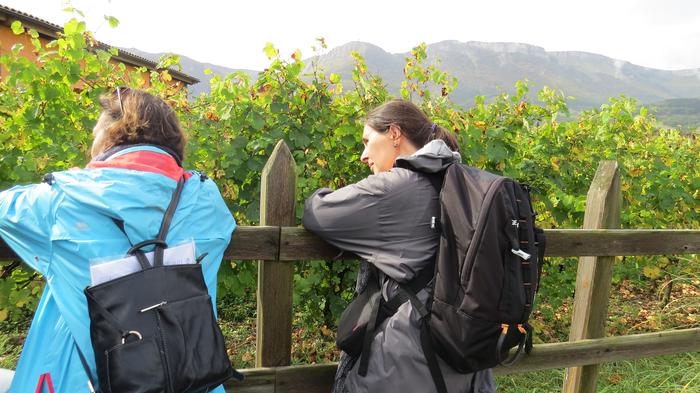 Herriko egitura geologikoa e 48 1508827986962