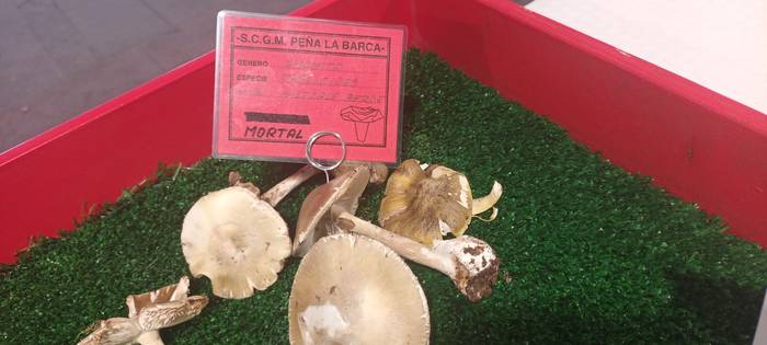 Ziza garaia iritsi da Urduña 9 1760971493516