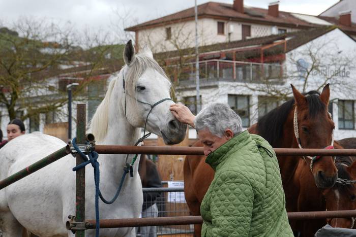 Euriak ez du zapuztu Dolumin 24 1774623131246