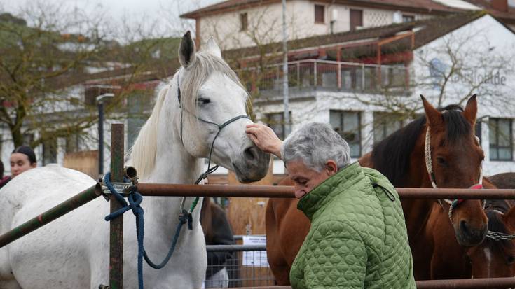 Euriak ez du zapuztu Dolumin Barikuko ospakizuna