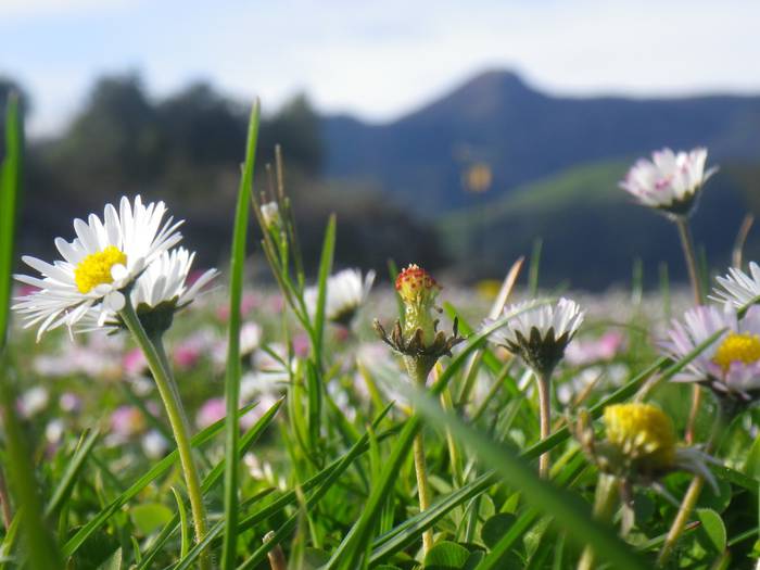 Agur esan baino arinago... 4 1523298181067