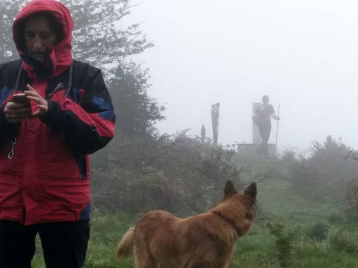 Positiboko baloratu dute Oko 5 1507154021841