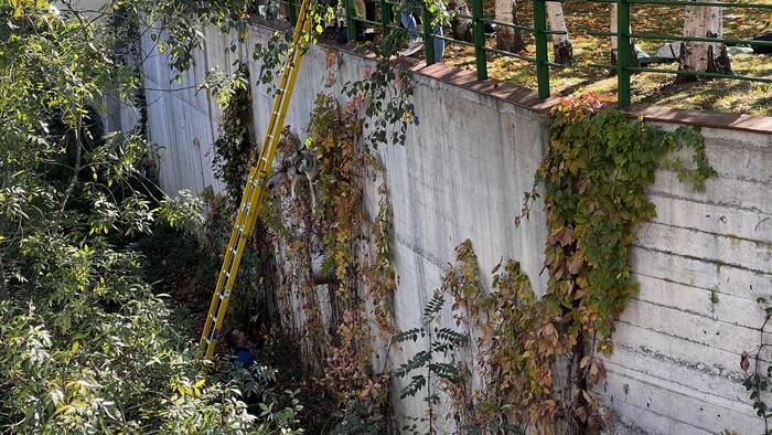 Txakur bat erreskatatu dute  9 1761824760310