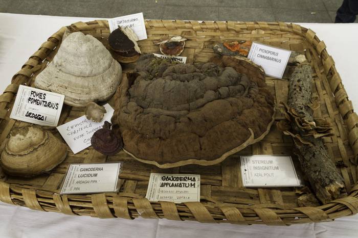 Gastronomia eta mikologia uz 12 1509955054043