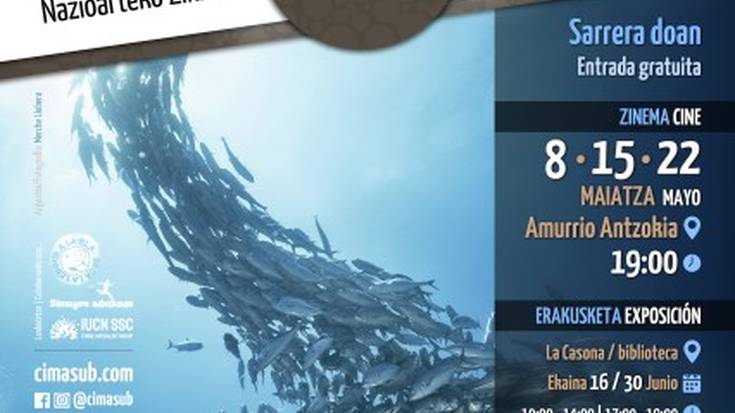 Itsaspeko zinemaren nazioarteko zikloa