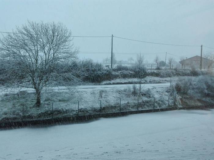 Iritsi da elurra Aiaraldera