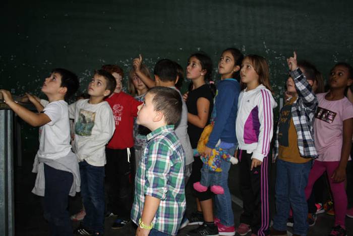 Aiarako Euskararen Asteburua 59 1508869898026