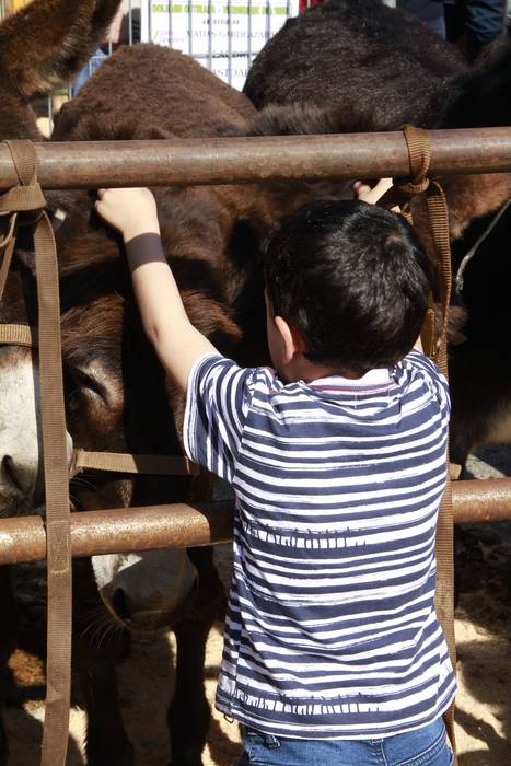 Dolumin Barikuak eta Korrika 20 1491597435009