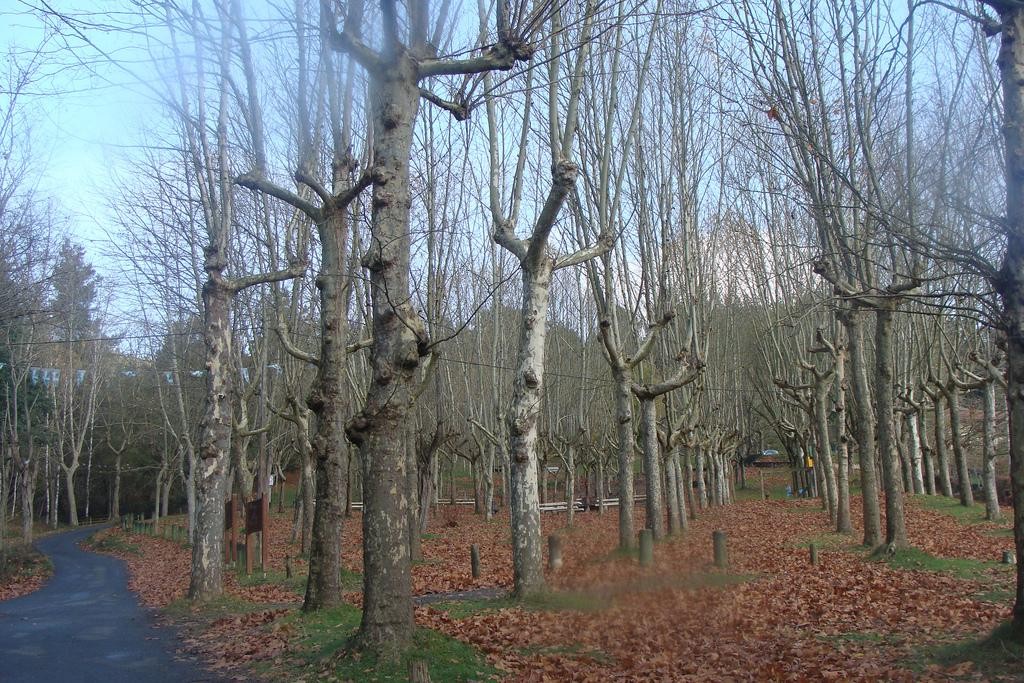 Udalak 4 bide osasungarri eraikitzeko diru-laguntza eskatu dio Eusko Jaurlaritzari