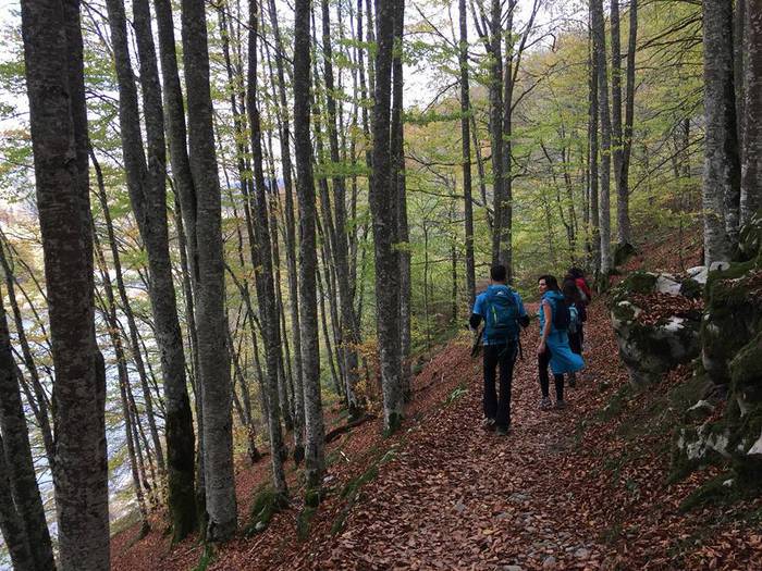 Iratiko basoan egon da asteb 13 1509432804607