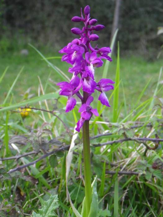 Agur esan baino arinago... 13 1523298235910