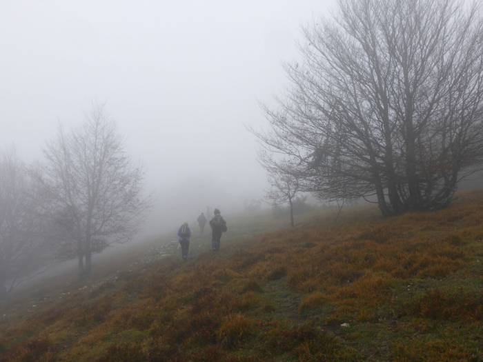 Laino artetik Santa Elena me 1 1511892447473