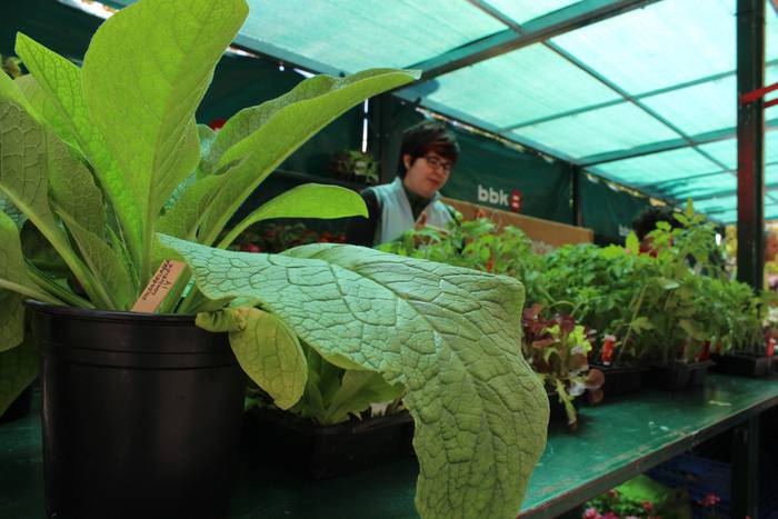 Ekoizle ekologikoek hartu zu 14 1493712318162