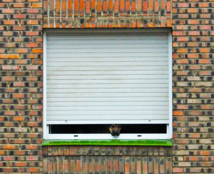 Larrazabal auzunean komunita 8 1588419198296