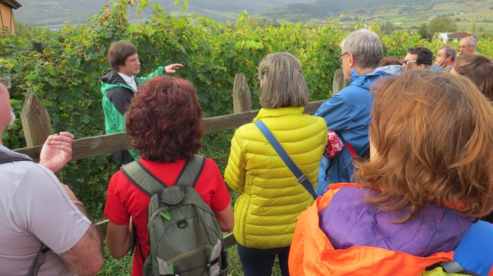 Herriko egitura geologikoa e 51 1508828134583