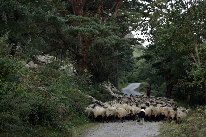 Gorobelen bukatu dituzte gra 2 1503657462354