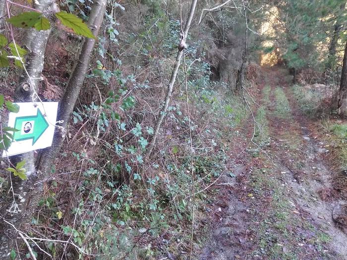 Matxinkorta aurkeztu dute, A 2 1485262655250