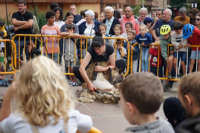 Yolanda Elosegui, Maria Ange 6 1758471063287