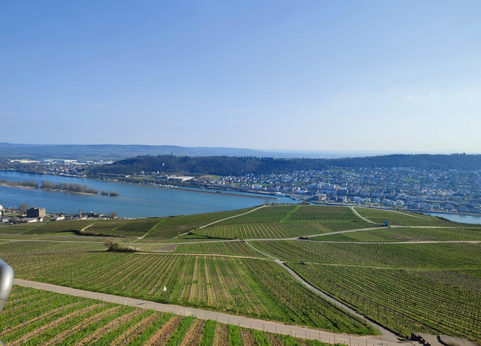 Laudio Institutuko ikasleak  10 1774257019834