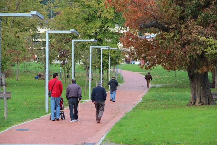 Herriko gazteek prestatuko dute Gabonetako argiteria Juan Urrutia parkerako