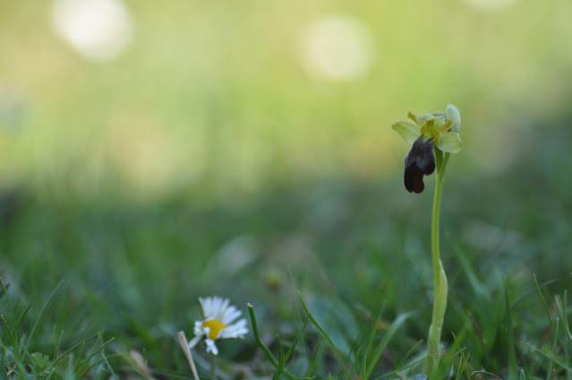 Itzultzeak 6 1619015039399