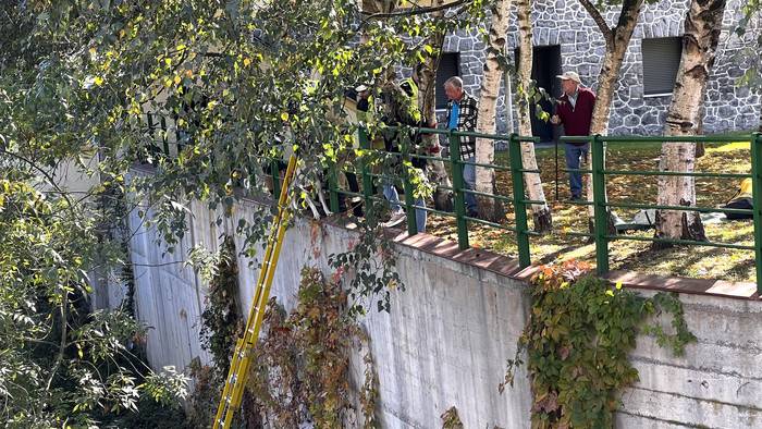 Txakur bat erreskatatu dute  12 1761824770627