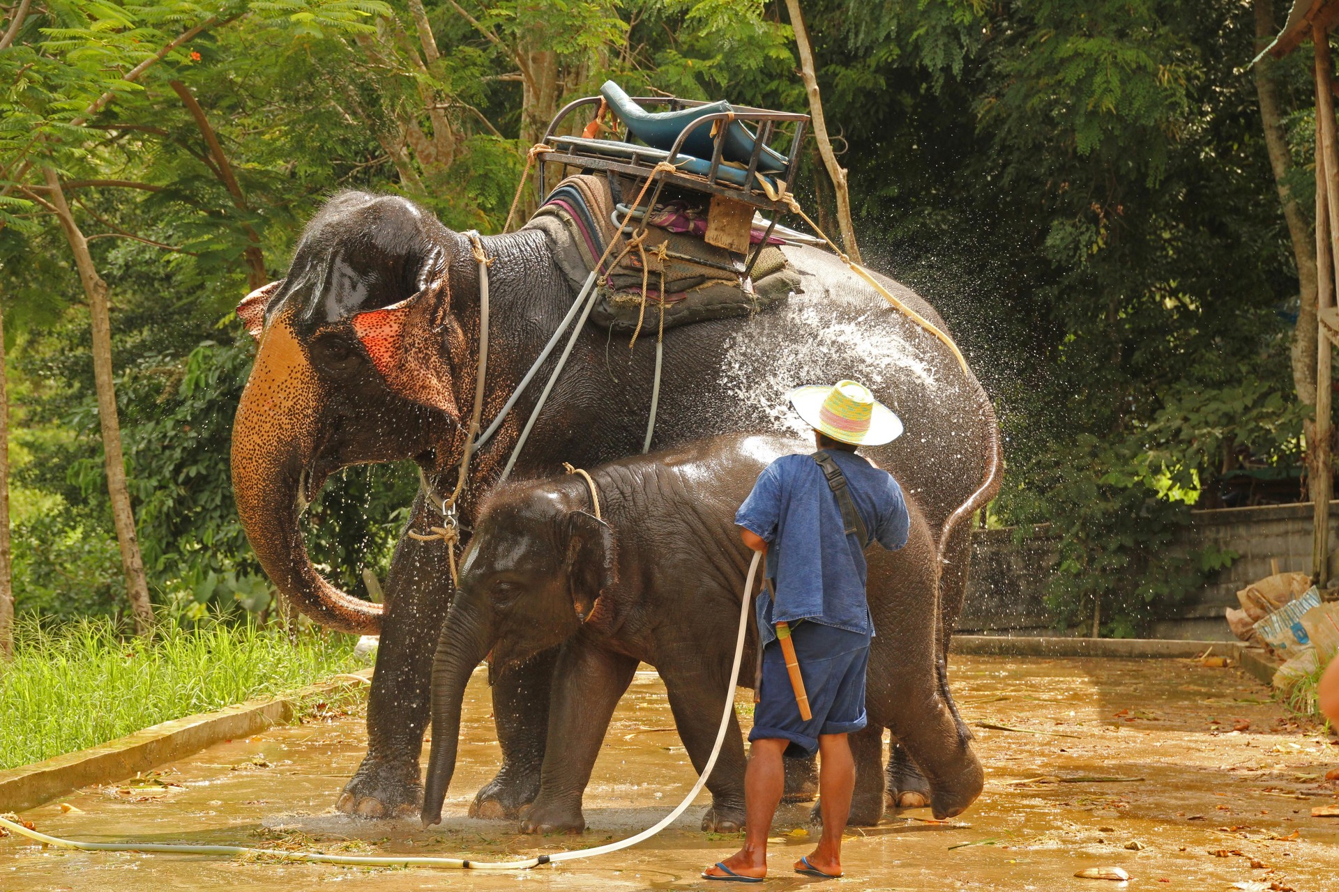 Koh Samui, Tailandia