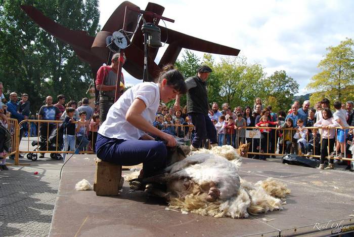 Eguraldia lagun, arrakastats 4 1505716606909