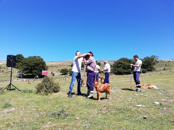 Artzainak izan ziren nagusi  34 1535893363639