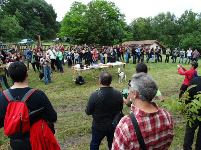 Alboken doinuek bete zuten L 38 1496649109417