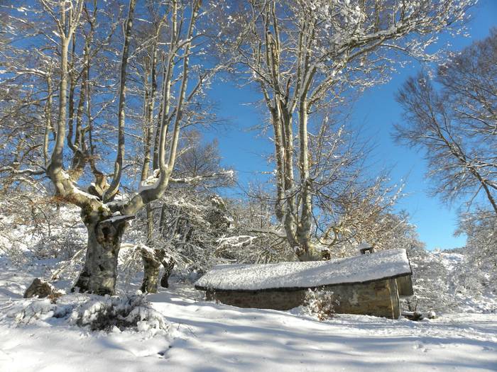 Edu Markinezen argazkiak 3 1513703373925