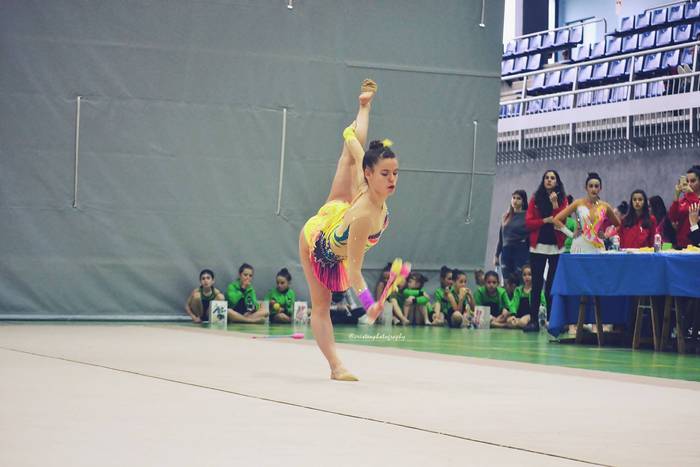 Dozenaka parte hartzaile X.  74 1490877317382