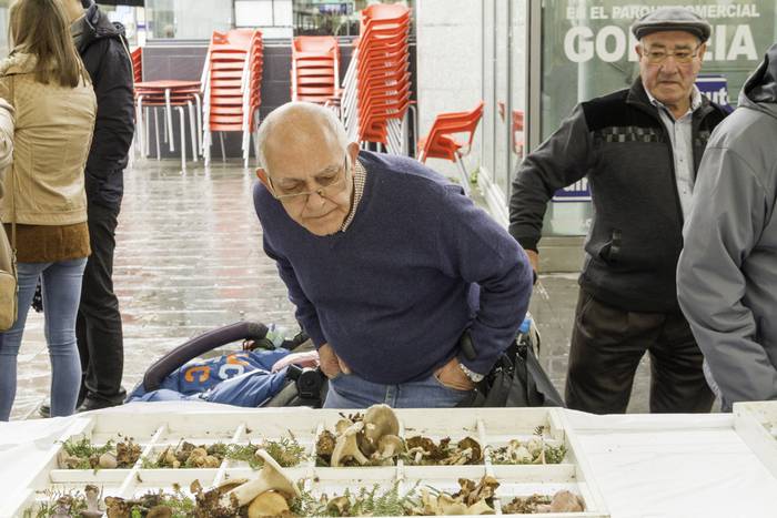 Gastronomia eta mikologia uz 15 1509955074042