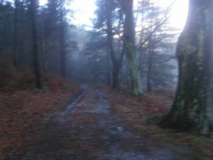 Urtea agurtu zuten matxinkor 5 1513708661118