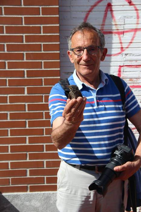 Jendetza eta giro ona nagusi 34 1494849331147