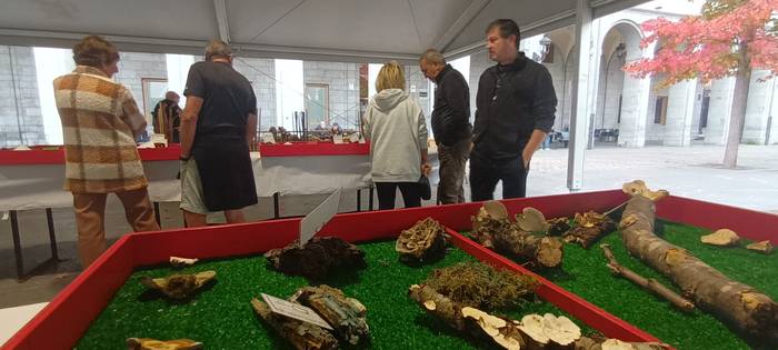 Ziza garaia iritsi da Urduña 18 1760971500686