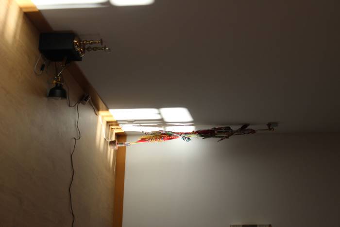 Mila herritar baino gehiago  8 1507486148181